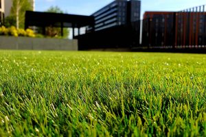 10 reasons to choose artificial grass for your garden
