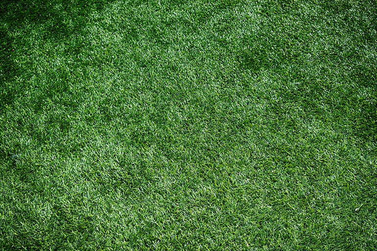 Things to know before installing artificial turf in your home