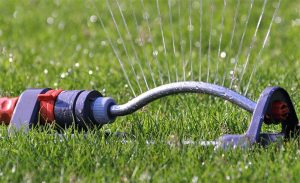 9 quick tips for garden water management