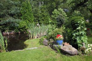 4 common garden problems in the summertime and how to fix them