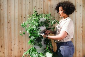4 environmentally friendly gardening tips